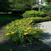 Photos from Harper and Sons Landscaping, LLC