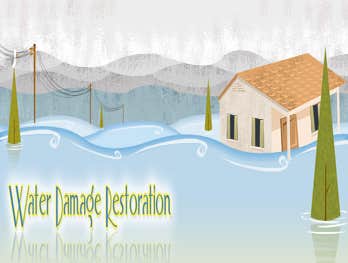 Photos by Water Damage Repair #1