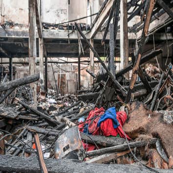 Photos by Forest Smoke Damage Experts #1