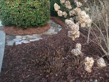 Photos by Easy Green Landscaping & Design #1