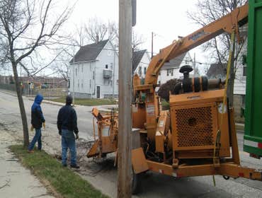 Photos by Tree and Snow Removal Service LLC #4