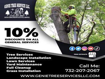 Photos by Genie Tree Services LLC #6