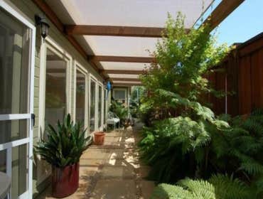 Shade garden