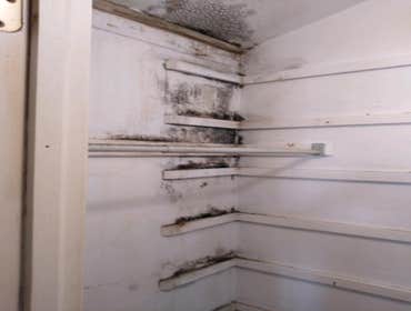Photos by Silverback Painting Solutions #1