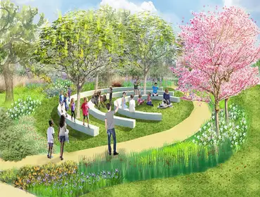 Landscape Designs