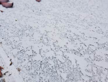 Photos from AK Reliable Construction Co Inc