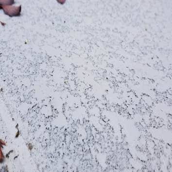 Photos from AK Reliable Construction Co Inc