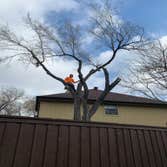 Photos by K-perez Tree Services #1