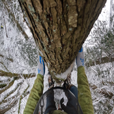 Photos by Alpha Tree Service #1