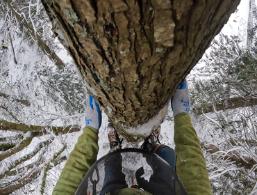 Photos by Alpha Tree Service #1