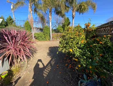 Photos by Bloom & Lawn Landscape Inc #1
