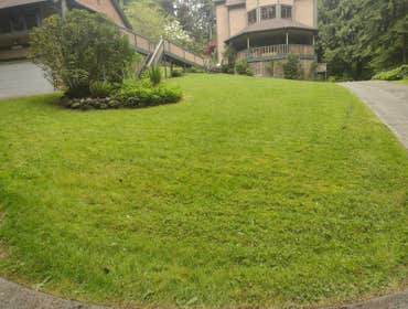 Photos by Sanchez Landscaping LLC #13
