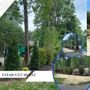 Photos by Clean Cut Ms LLC #4