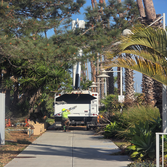 Ventura Tree Services