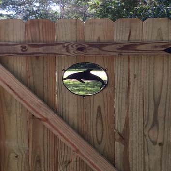 Fences