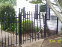 Deck and Fences