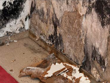 Reliable Restoration LLC Reliable Restoration is a residential water mitigation and flood cleanup company serving Atlanta, GA and the surrounding area.