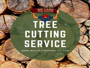 We Care Tree Services Looking for complete tree service. From tree removal to land clearing – We Care Tree Service can handle all of your tree service 