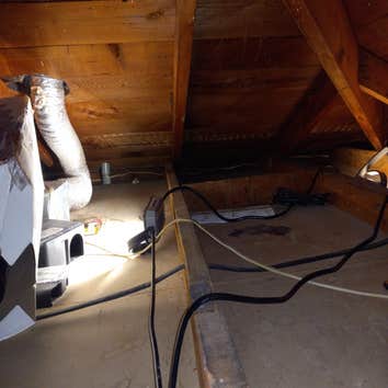 Photos by German Rodent Control #1