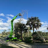 Arbobella Tree Service
