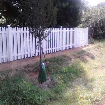 Photo(s) from Carpenter's Fence Company