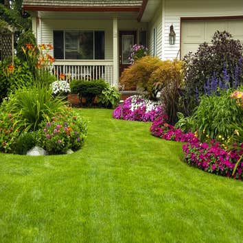 Photos by Georgia Outdoor Services #1
