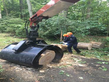 Photo(s) from Bonilla Tree Service Inc