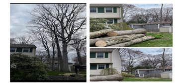 Photos by America Tree Services #1