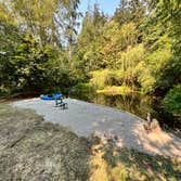 Pond Bulkhead