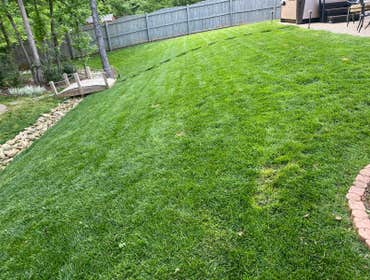 Photos by Jose Santos Landscaping #7