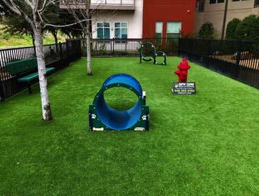 Photos by Dfw Turf Solutions #1