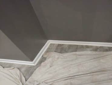 Photos by Silverback Painting Solutions #1