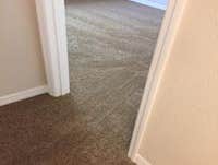 Photos from Carpet Floorida