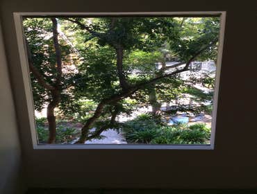Vinyl Window Needed