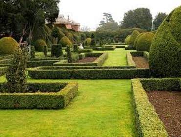 Machado's Landscape Construction We offer a variety of services from planning and design to installation and maintenance which are oriented to the nee