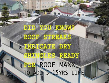 Growth on Roof=Dry Shingles