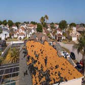 Photos by Roofer Bonita Springs #2