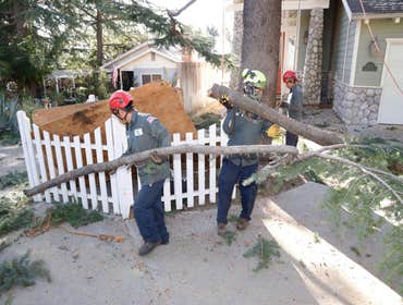 Photos by California Green Tree Care #1