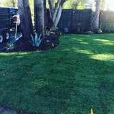 Photos by Garden Green Landscaping Inc #1