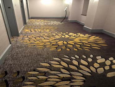 HGI renovation Austin