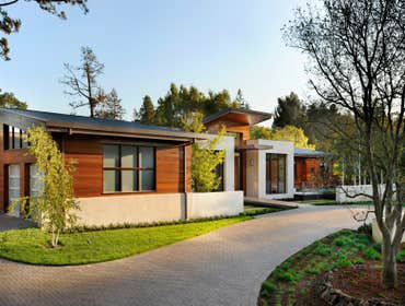 Contemporary Green