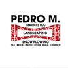 Pedro M. Service LLC logo