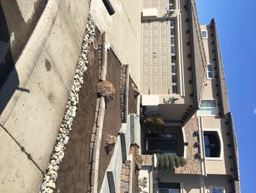 Photos by Judds Landscape Services #1