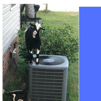 Fayetteville Heating & Air Conditioning Contractors Inc