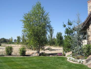 Photos from Natural Lawns and Landscape
