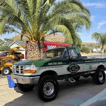 Photos by Timber Pros Tree Service #1