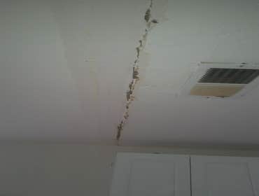 Photos from Finest drywall