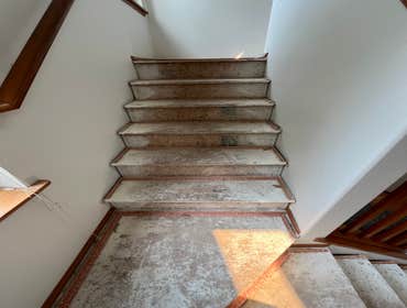 Photos by Gus's Premium Carpets Inc #1
