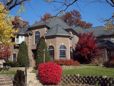 Home Designs