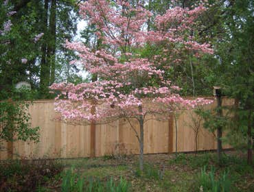 Exterior/Decks and Fences